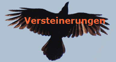 Versteinerungen